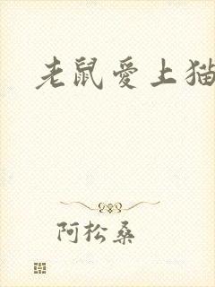 老鼠爱上猫下载