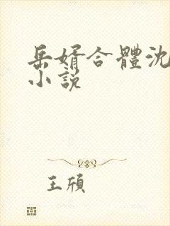 岳婿合体沈绝的小说