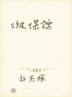 s级保镖