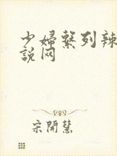 少妇系列辣文小说网