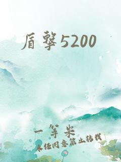 盾击5200