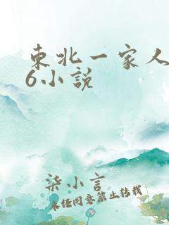 东北一家人1一6小说