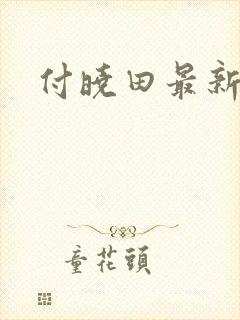 付晓田最新消息