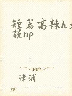 短篇高辣h文小说np
