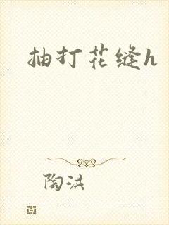 抽打花缝h