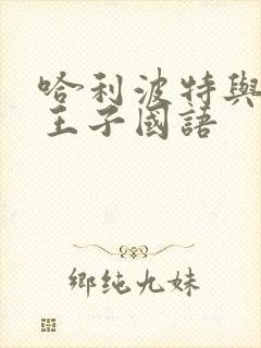 哈利波特与混血王子国语