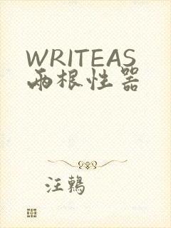 WRITEAS两根性器