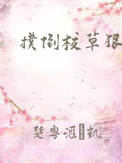 扑倒校草狠狠亲