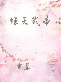 绝天武帝 小说