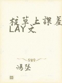 校草上课羞耻PLAY文