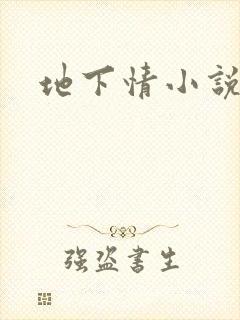 地下情小说