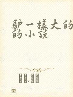 驴一样大的凶器的小说