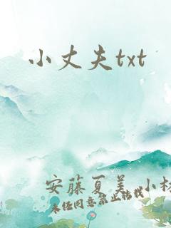 小丈夫txt