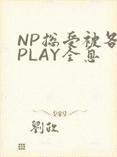 NP总受被各种PLAY全息