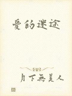 爱的迷途