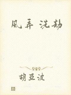 风弄 洗劫