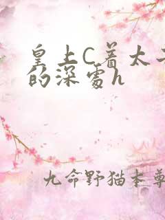 皇上C着太子妃的深处h