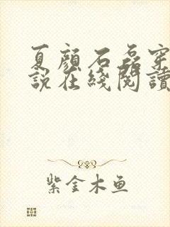 夏颜石磊穿越小说在线阅读