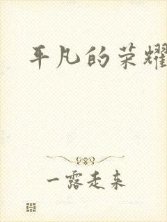 平凡的荣耀小说