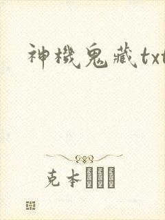 神机鬼藏txt