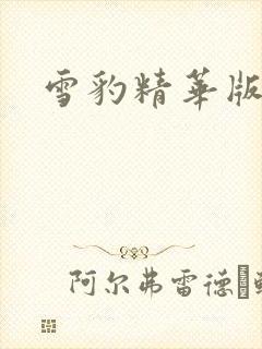 雪豹精华版全集