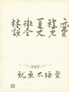 林微夏程亦风小说全文免费