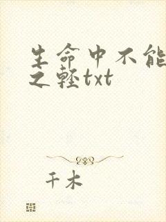 生命中不能承受之轻txt