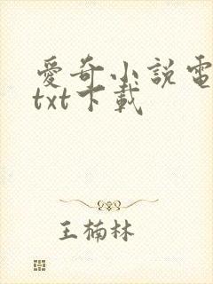 爱奇小说电子书txt下载