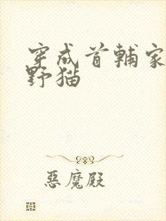 穿成首辅家的小野猫