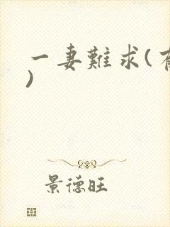 一妻难求(有肉)