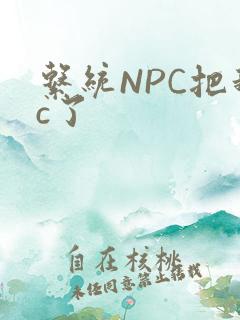系统NPC把我c了