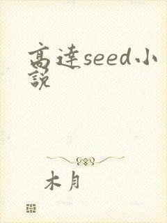 高达seed小说