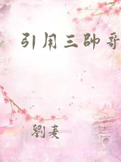 引用三帅哥