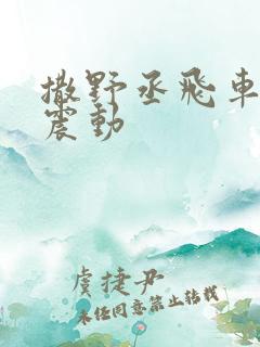 撒野丞飞车道具震动