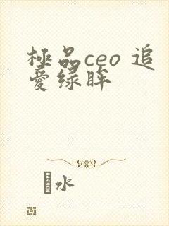 极品ceo 追爱绿眸