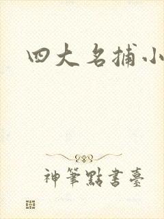 四大名捕小说