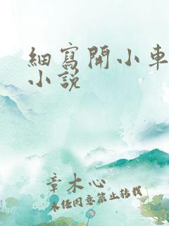 细写开小车车的小说