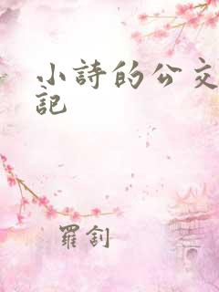 小诗的公交车日记