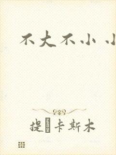 不大不小 小说