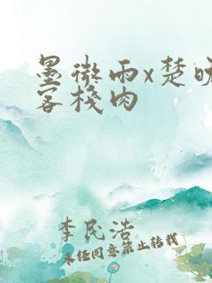 墨微雨x楚晚宁客栈肉