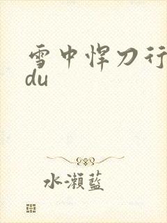 雪中悍刀行sodu