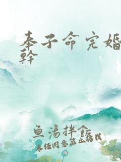 奉子命完婚 高干