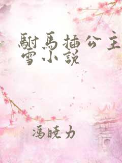 驸马插公主恋战雪小说