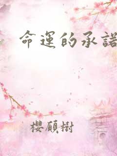 命运的承诺下载