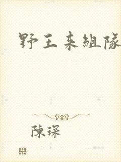 野王来组队小说