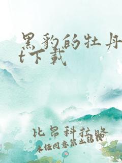 黑豹的牡丹txt下载