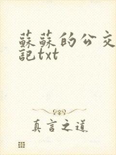 苏苏的公交车日记txt