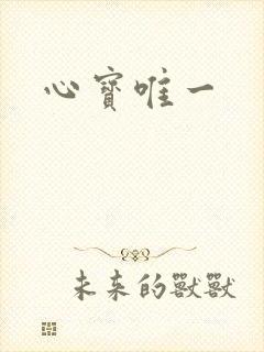 心宝唯一