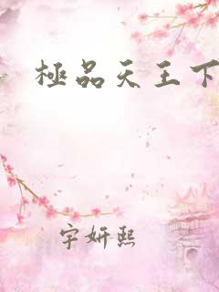 极品天王下载
