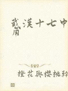 武汉十七中女主角